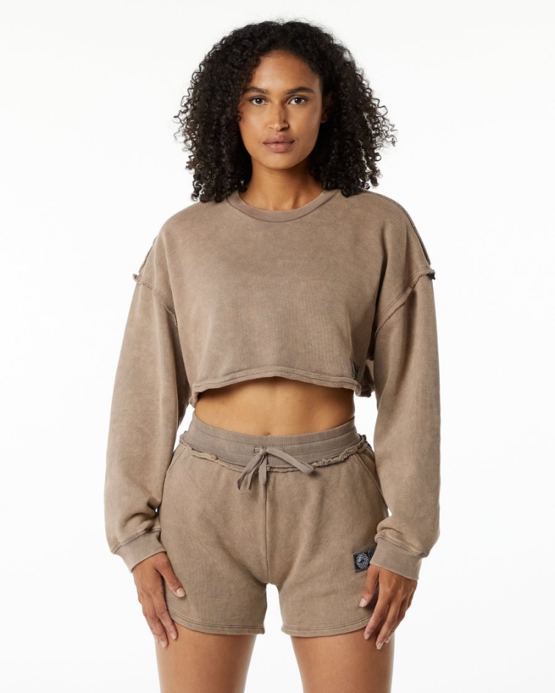 Alphalete Very Terry Crop Pullover Naisten Takit Smokey Quartz | KUSNZ-8397