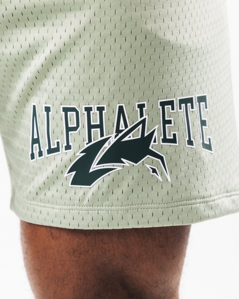 Alphalete Wolf Head Mesh Lyhyt 6" Miesten Shortsit Sage | BLNUH-9842