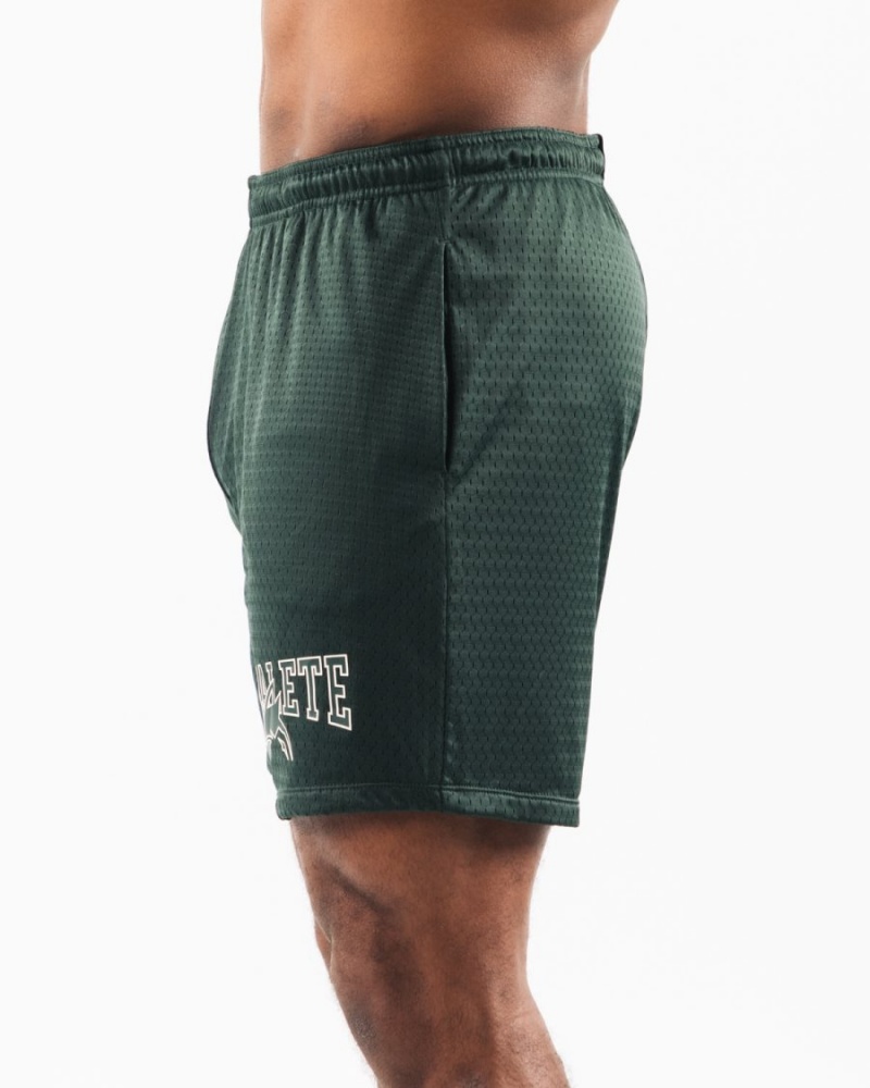 Alphalete Wolf Head Mesh Lyhyt 6" Miesten Shortsit Evergreen | VMUSP-4156