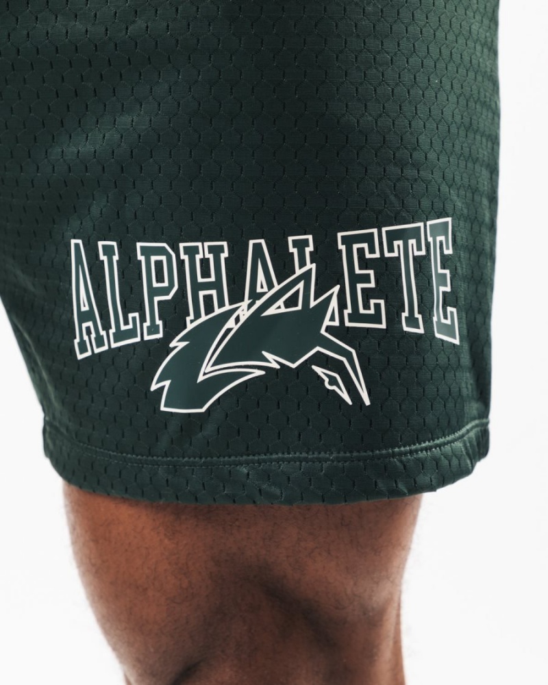 Alphalete Wolf Head Mesh Lyhyt 6" Miesten Shortsit Evergreen | VMUSP-4156