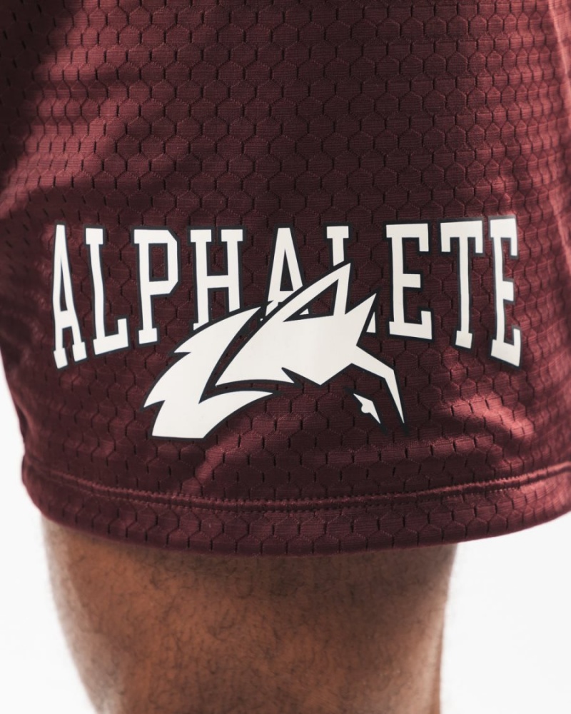 Alphalete Wolf Head Mesh Lyhyt 6" Miesten Shortsit Sangria | LWVDU-4709