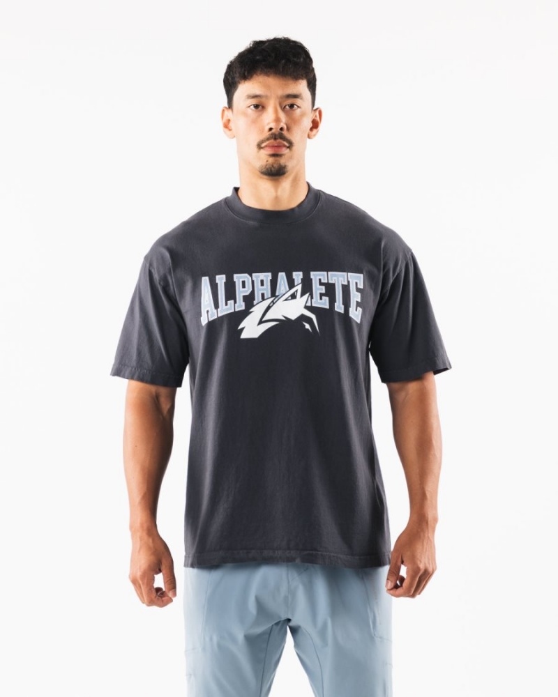 Alphalete Wolf Head Tee Naisten Paidat Sininen | DAROP-5390